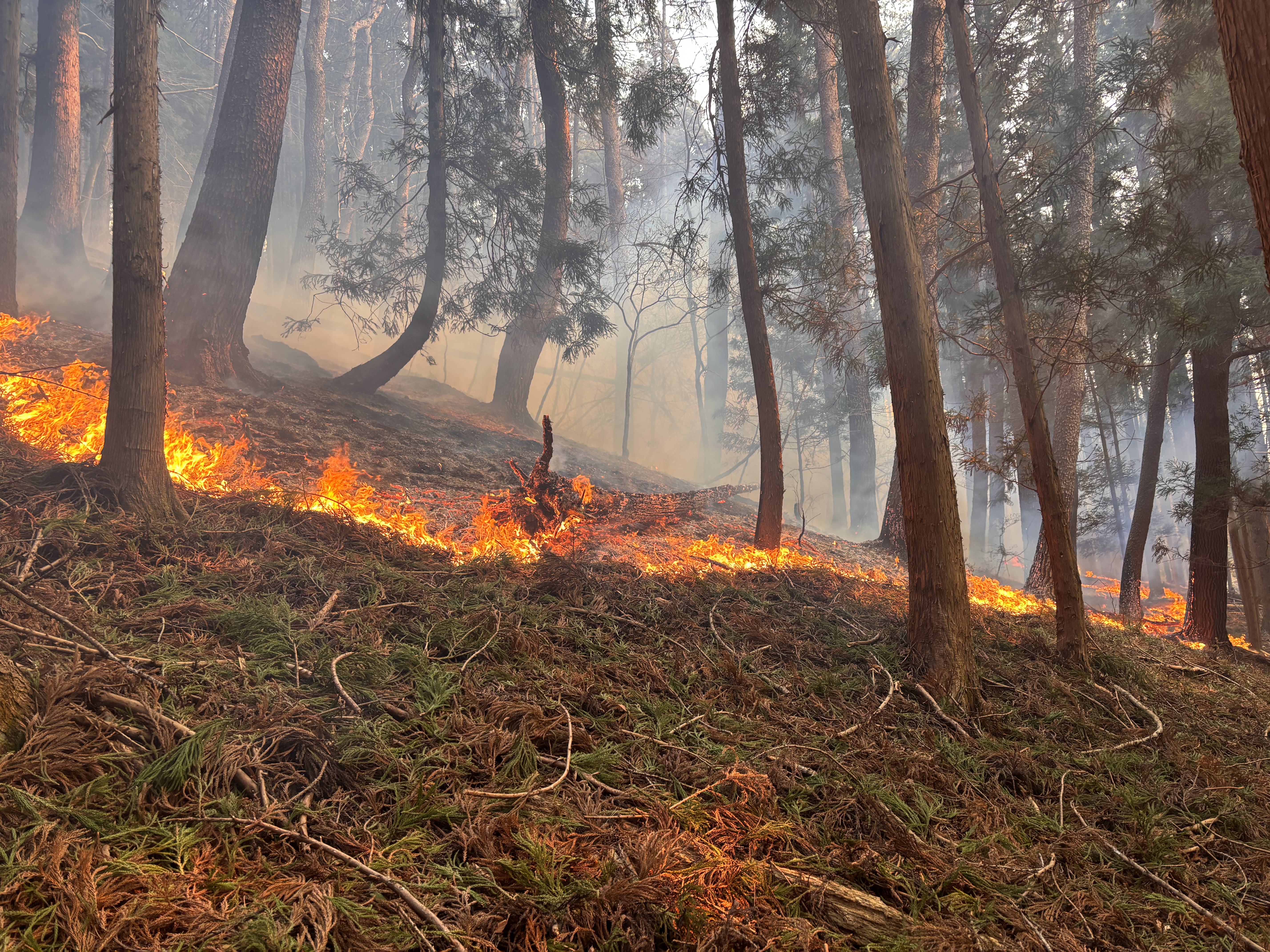 林野火災注意報・警報発令２